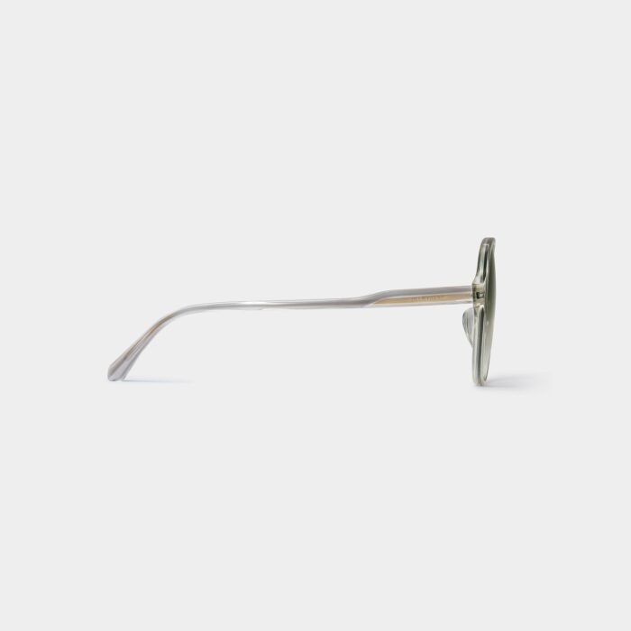 gwen aviator acetate sunglasses