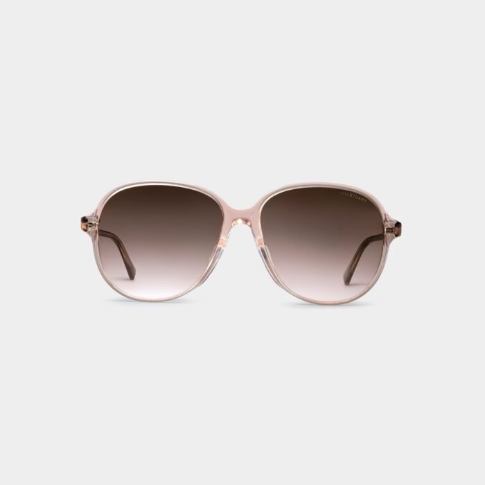 gwen aviator acetate sunglasses